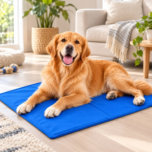 Perro descansando sobre el pad refrescante azul en casa.